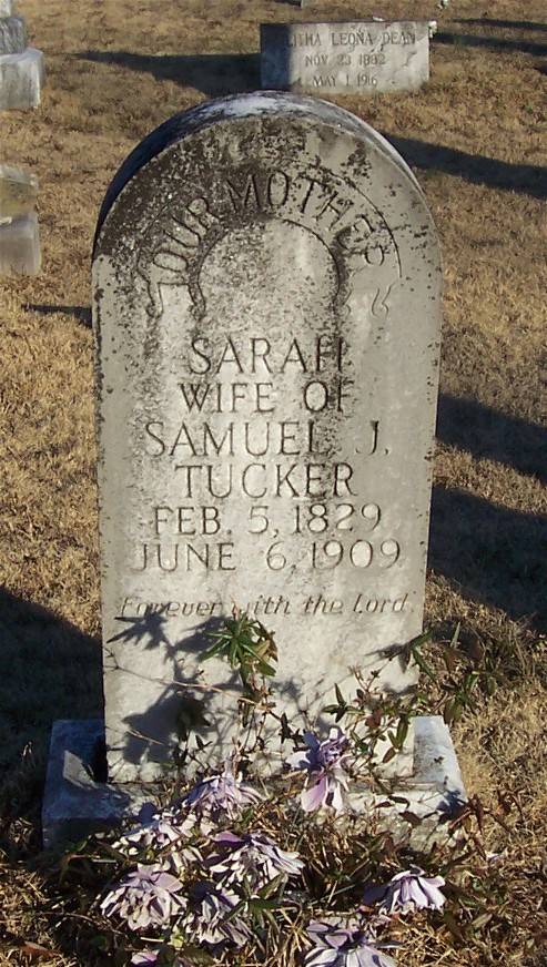Sarah Lovell